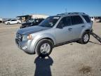 Lot #3037472744 2010 FORD ESCAPE XLT