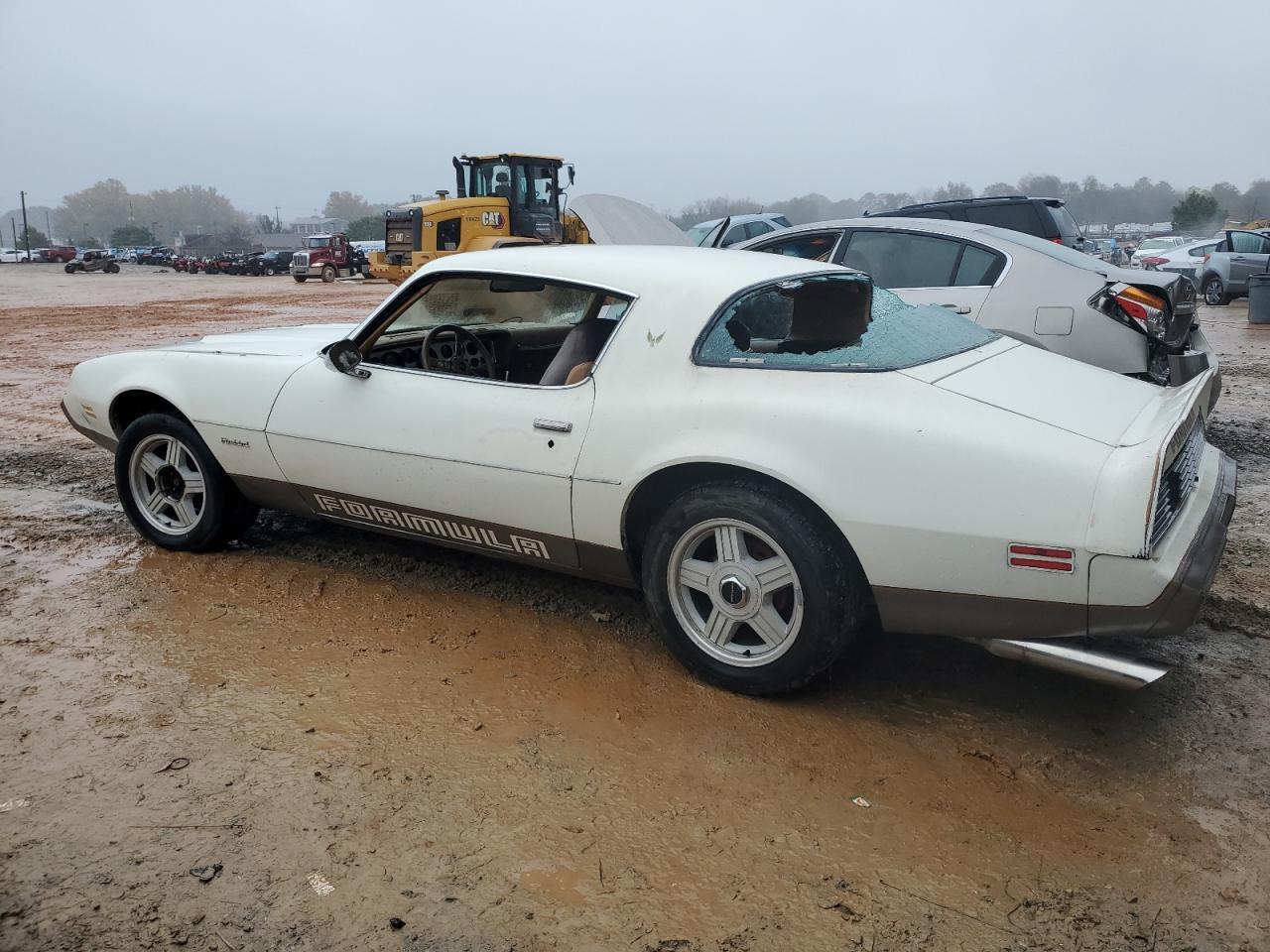 Lot #2991431875 1979 PONTIAC FIREBIRD