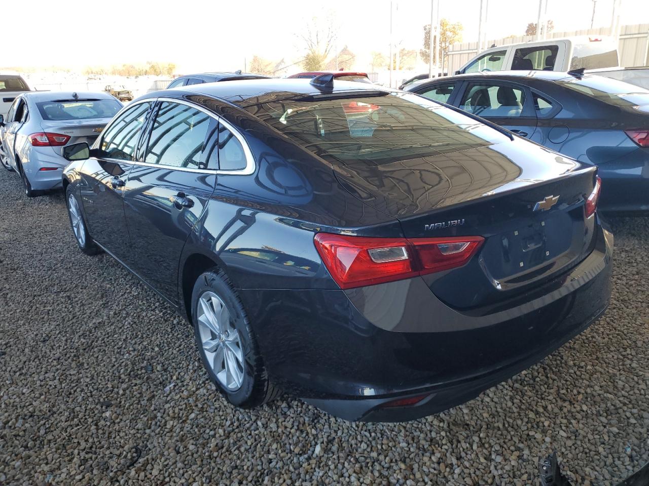 Lot #2989314944 2023 CHEVROLET MALIBU LT