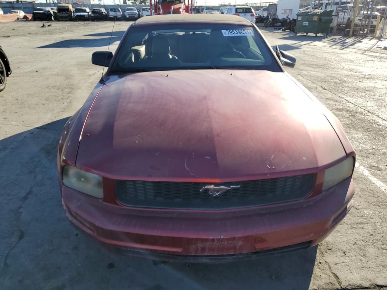 Lot #2955226510 2005 FORD MUSTANG