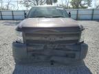 Lot #2994307197 2008 CHEVROLET SILVERADO