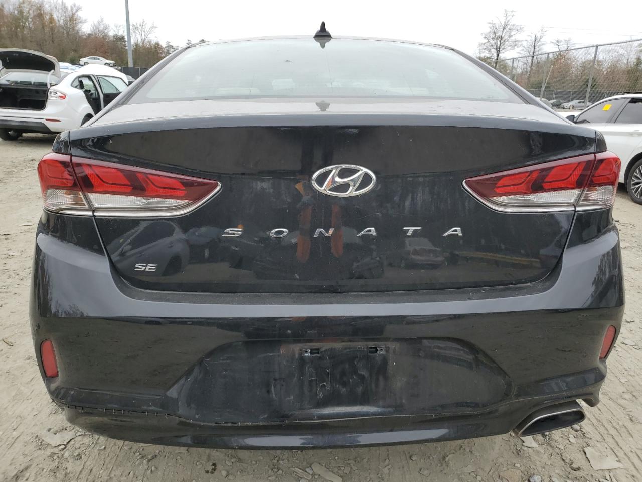 Lot #3029578070 2019 HYUNDAI SONATA SE