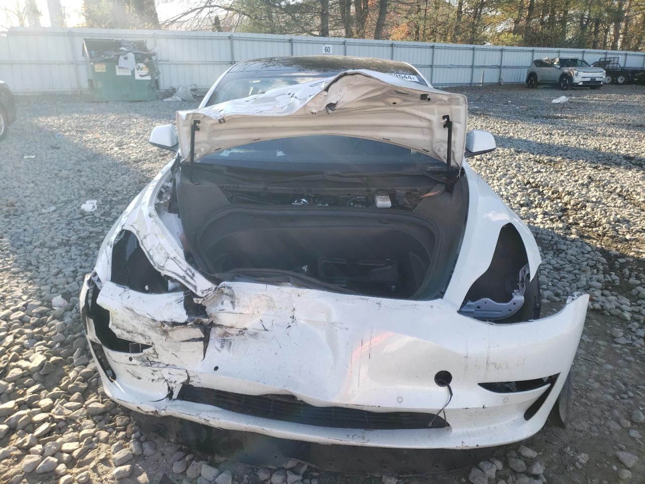 Lot #3033331819 2021 TESLA MODEL 3