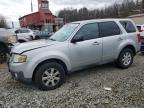 MAZDA TRIBUTE I photo