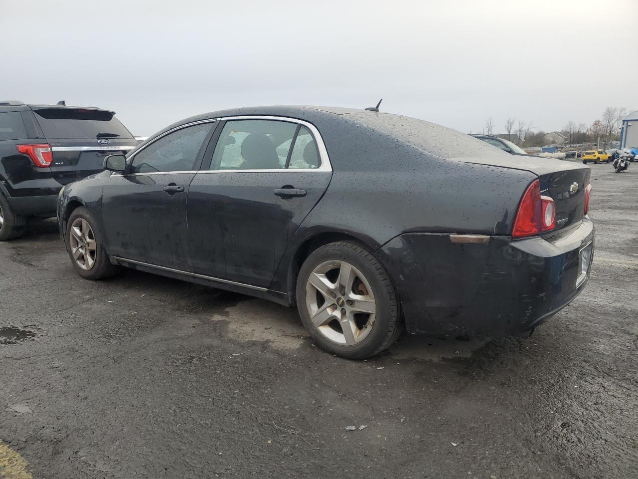 Lot #3033236877 2010 CHEVROLET MALIBU 1LT