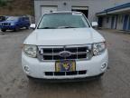 Lot #3024651594 2011 FORD ESCAPE XLT