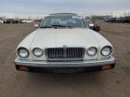 JAGUAR XJ6 SOVERE снимка