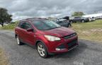 FORD ESCAPE SE photo