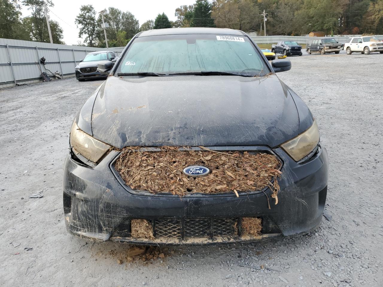 Lot #3033157171 2015 FORD TAURUS POL