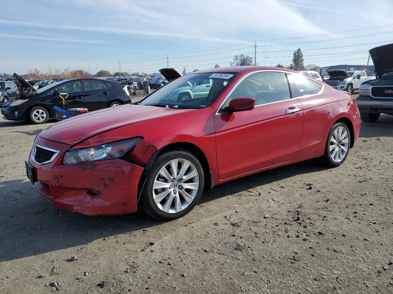 Lot #2972388451 2009 HONDA ACCORD EXL