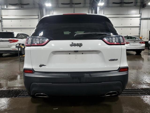 2019 JEEP CHEROKEE L - 1C4PJLLNXKD196092