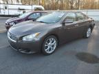 NISSAN MAXIMA S photo