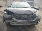 Lot #3023637295 2014 HONDA CR-V EXL