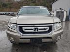 Lot #3003567138 2010 HONDA RIDGELINE