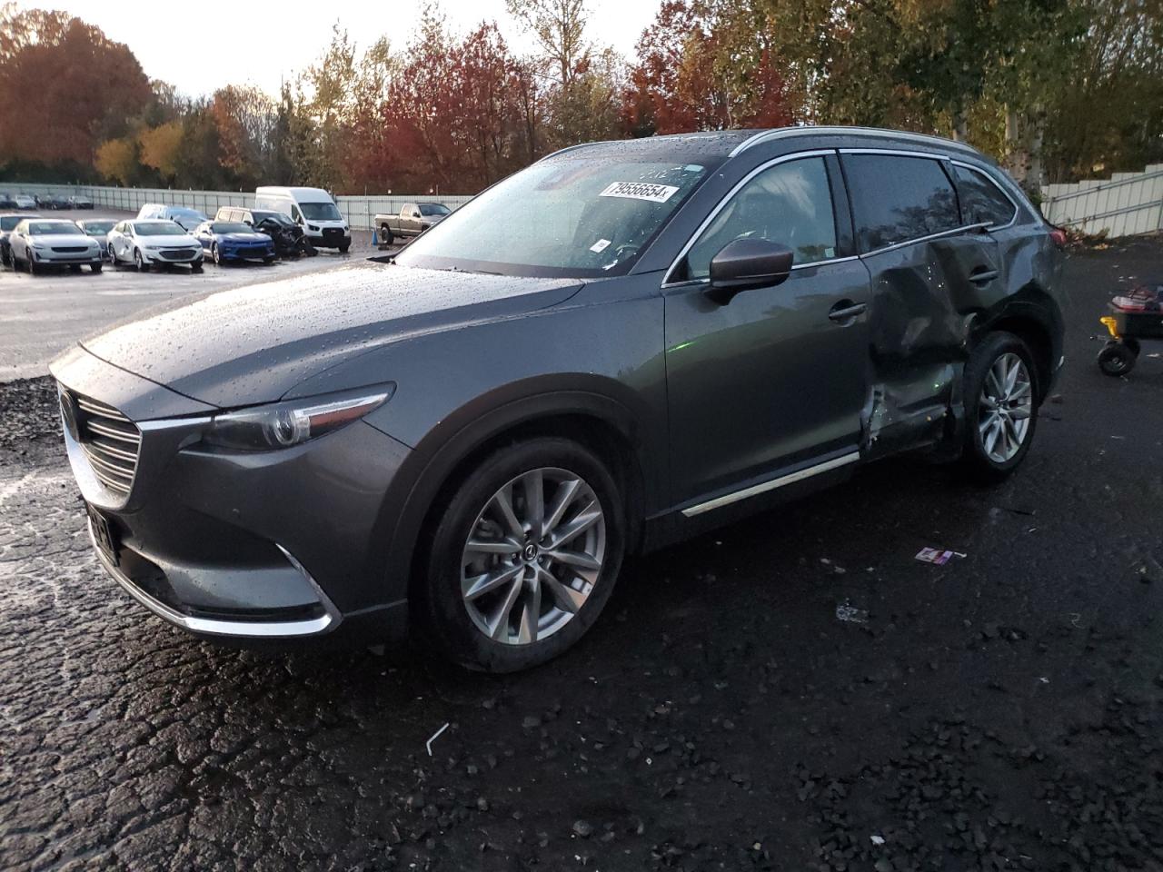 Lot #2994277017 2018 MAZDA CX-9 GRAND