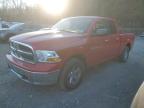 DODGE RAM 1500 photo