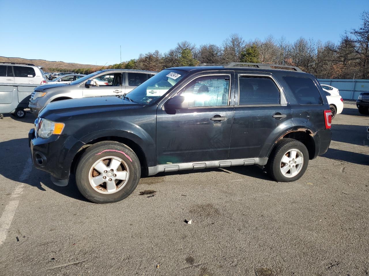 Lot #3006621626 2012 FORD ESCAPE XLT