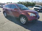 Lot #3025193189 2007 HONDA CR-V EXL