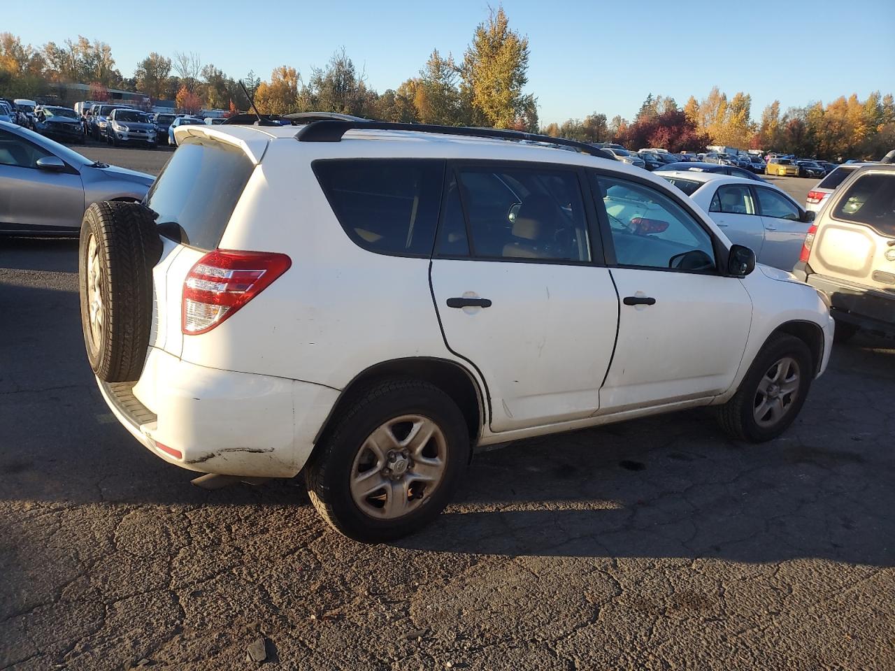 Lot #2974801242 2009 TOYOTA RAV4