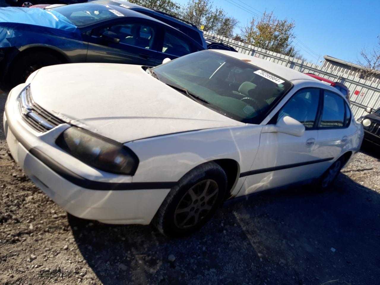 Lot #2989025524 2005 CHEVROLET IMPALA