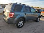 Lot #3024356553 2012 FORD ESCAPE XLT