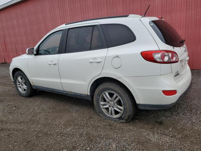 HYUNDAI SANTA FE G 2010 white  gas 5NMSGDAG3AH350828 photo #3