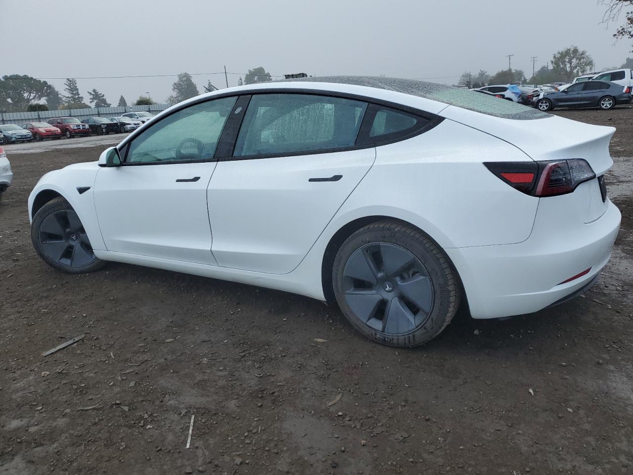 Lot #2986276241 2021 TESLA MODEL 3