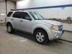 Lot #3033493100 2009 FORD ESCAPE XLT