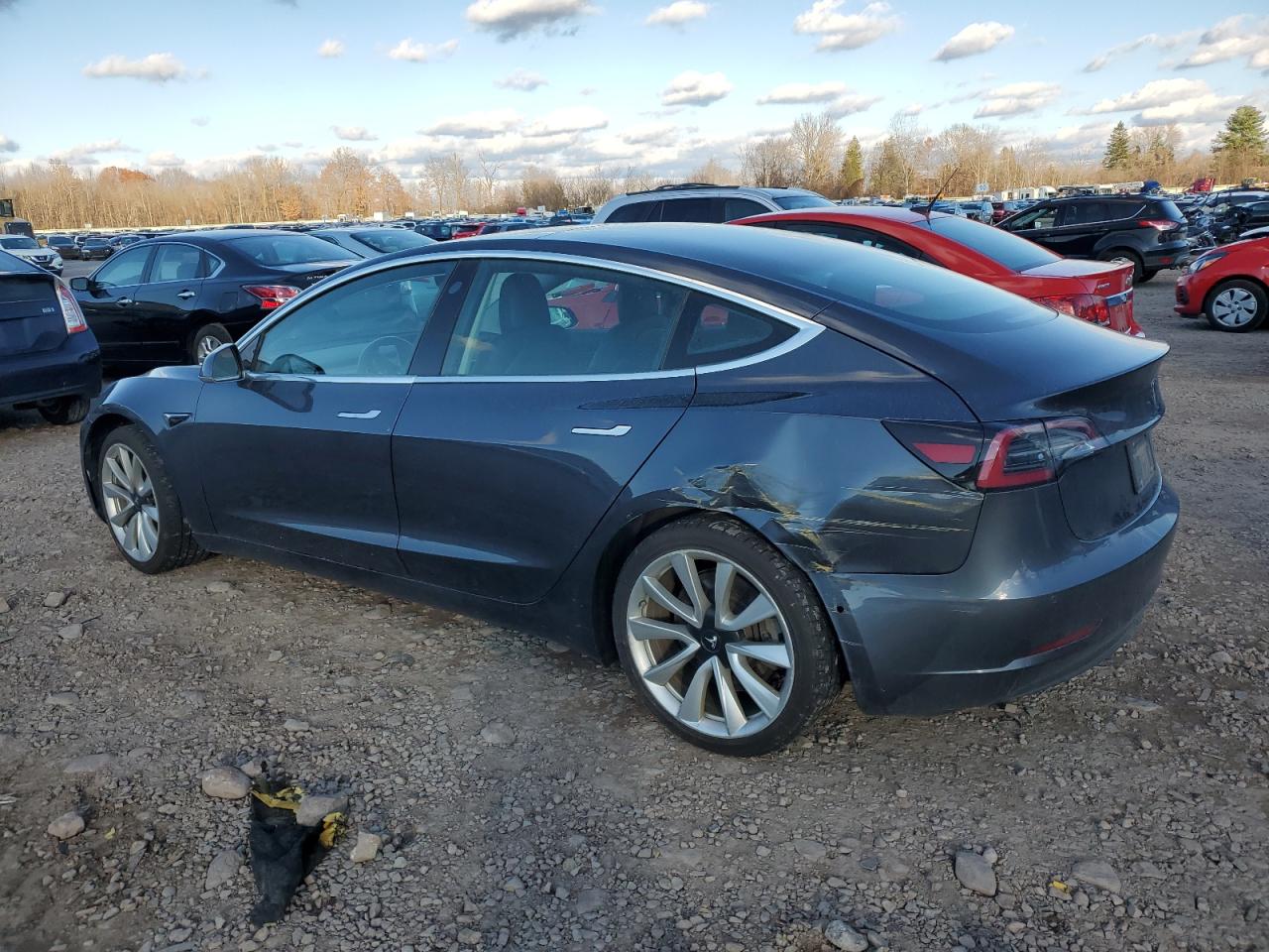 Lot #2996556659 2019 TESLA MODEL 3