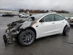 2023 TESLA MODEL 3 - 5YJ3E1EA0PF513119