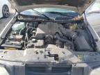 Lot #3024649644 2004 LINCOLN TOWN CAR E