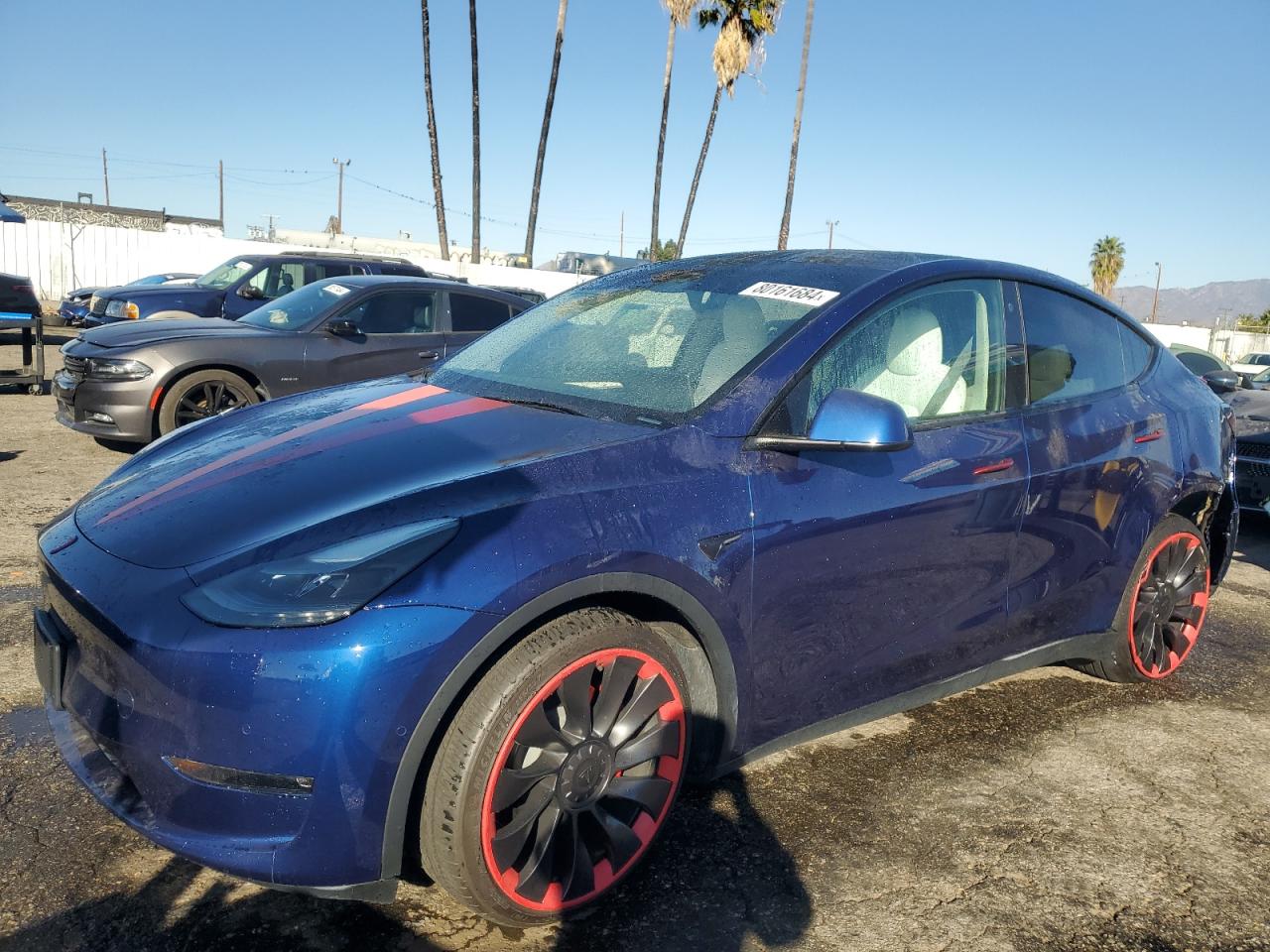 Lot #3030427474 2022 TESLA MODEL Y