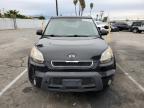 KIA SOUL + photo