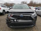 Lot #2991154420 2024 TOYOTA RAV4 XLE