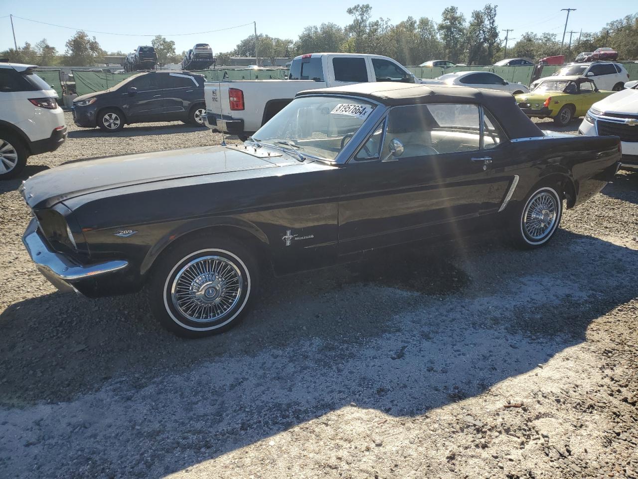 Lot #3032816045 1965 FORD MUSTANG