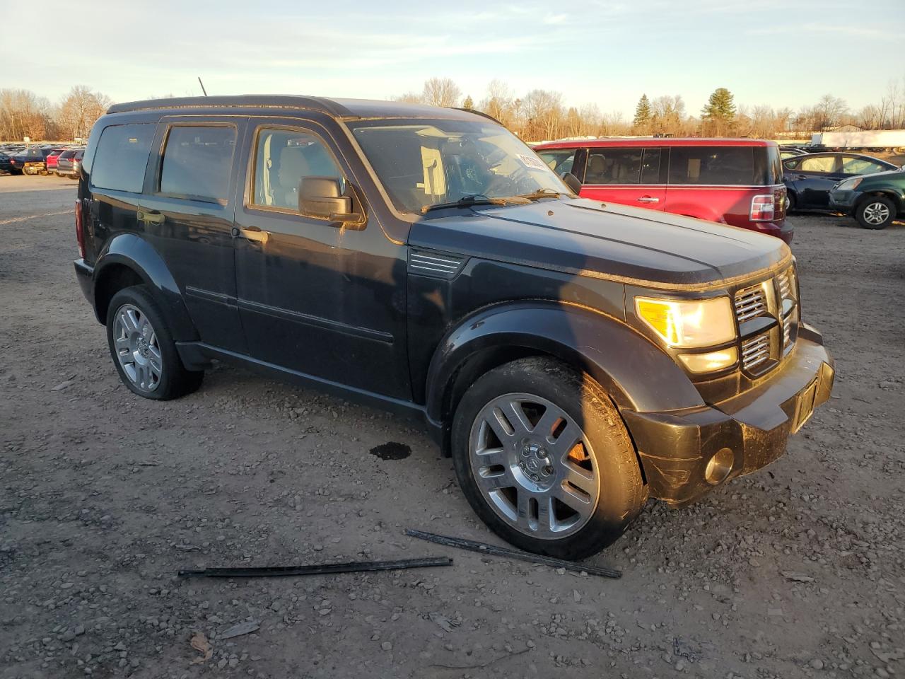 Lot #2986104173 2010 DODGE NITRO HEAT