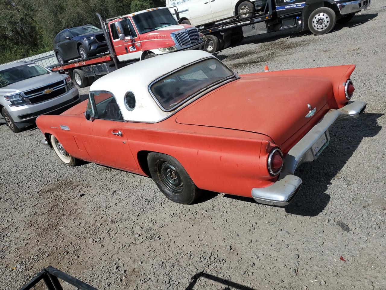 Lot #3032816019 1957 FORD THUNDERBIR