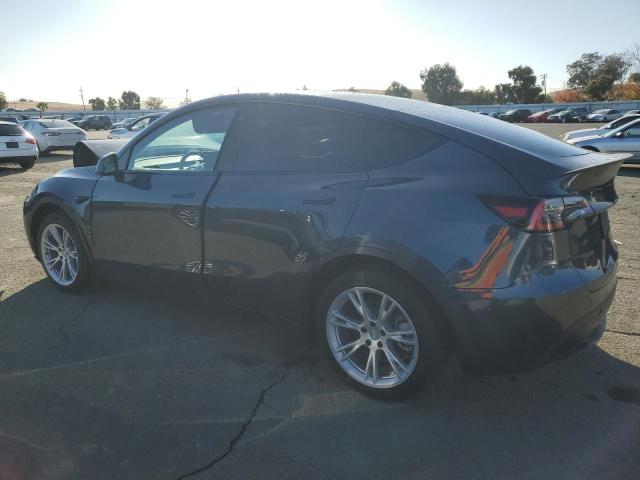 TESLA MODEL Y 2021 gray  electric 5YJYGDEEXMF094213 photo #3