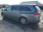 HONDA ODYSSEY EX photo