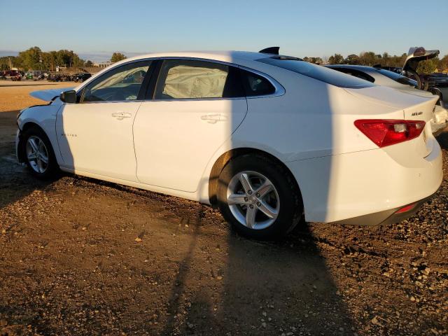 VIN 1G1ZC5ST2RF201596 2024 CHEVROLET MALIBU no.2