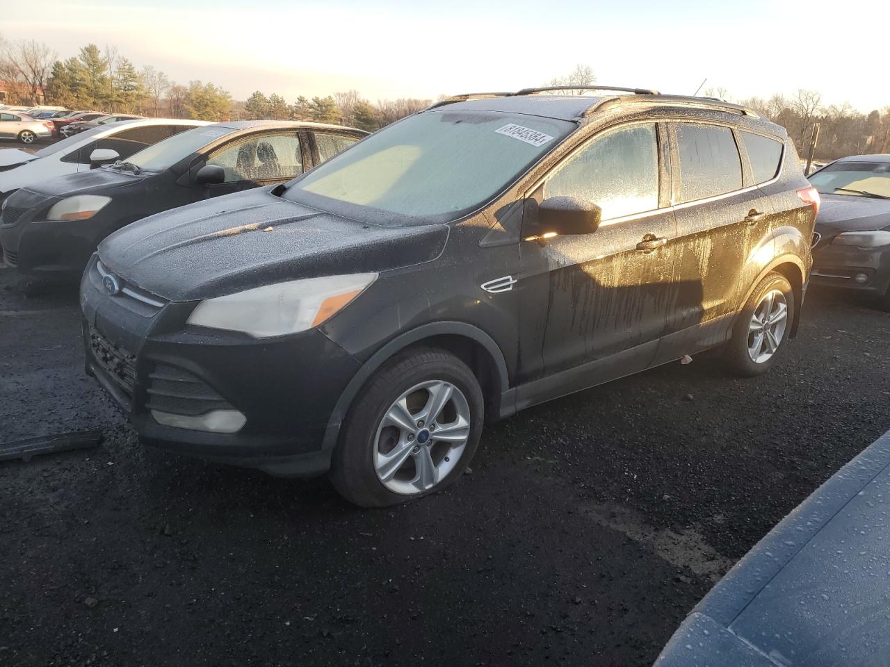 Lot #3008294190 2013 FORD ESCAPE SE