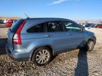 Lot #3006149809 2007 HONDA CR-V EXL