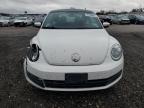 Lot #3006651452 2013 VOLKSWAGEN BEETLE