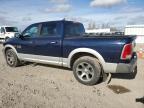 RAM 1500 LARAM photo