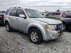 Lot #3004455819 2009 FORD ESCAPE LIM