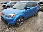 KIA SOUL + photo