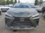 Lot #3034766637 2023 LEXUS NX 350