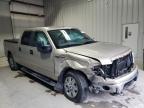 Lot #3023433255 2010 FORD F150 SUPER