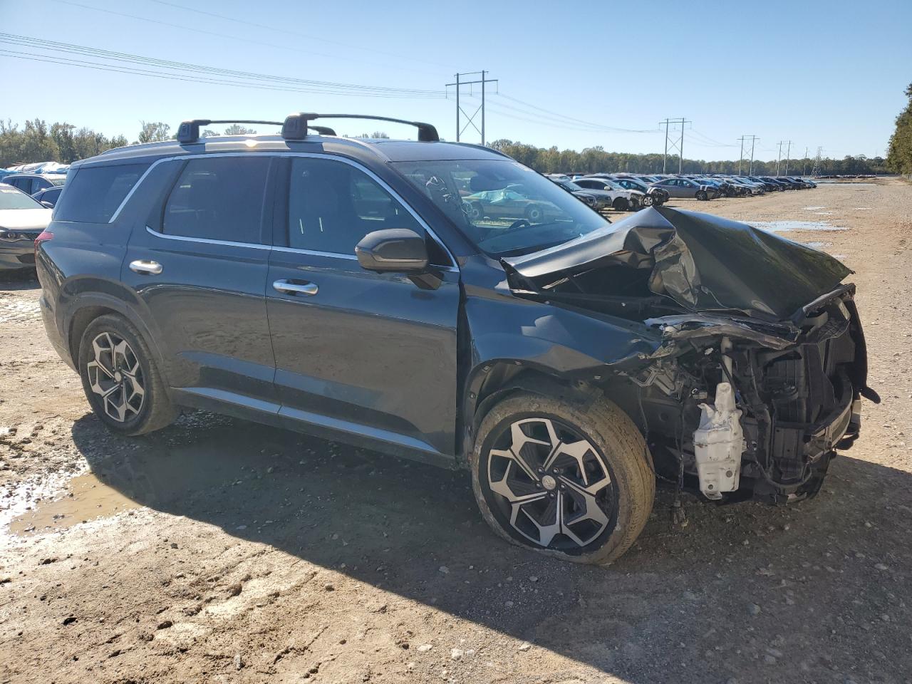 Lot #3028521949 2022 HYUNDAI PALISADE C