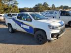 Lot #2991646980 2022 CHEVROLET COLORADO